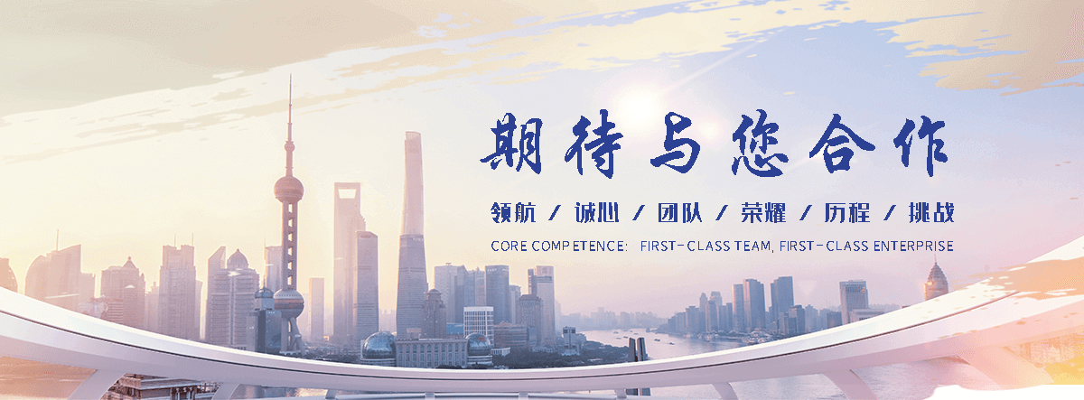 兴安盟海狮租赁公司